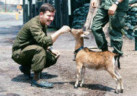 15 Medical Battalion Vietnam